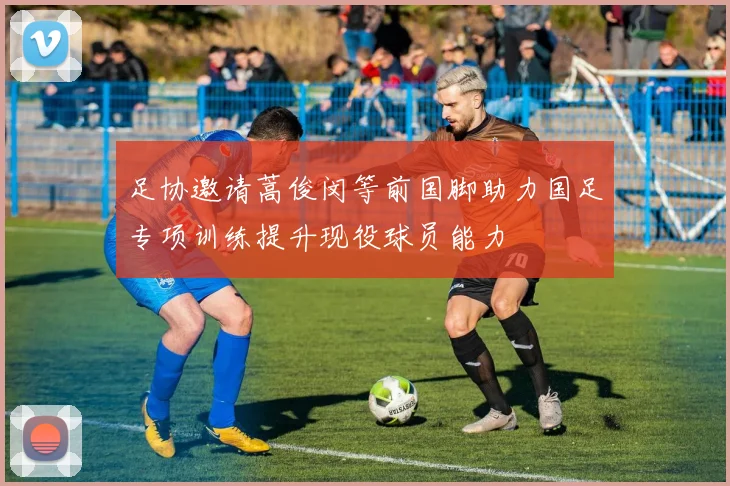 足协邀请蒿俊闵等前国脚助力国足专项训练提升现役球员能力