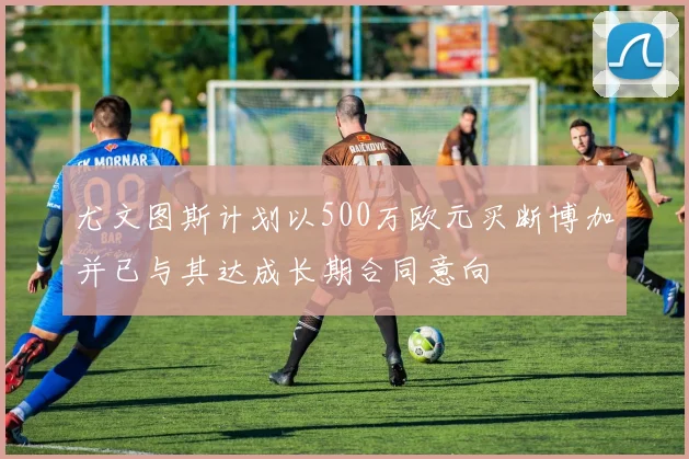 尤文图斯计划以500万欧元买断博加并已与其达成长期合同意向