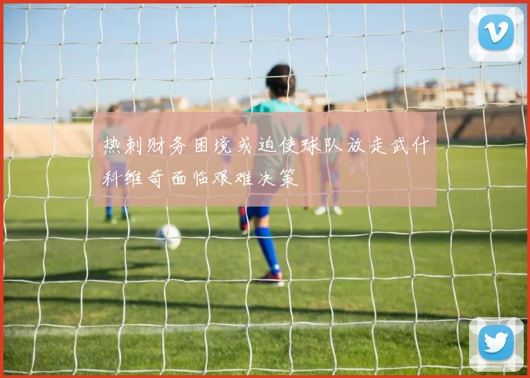 热刺财务困境或迫使球队放走武什科维奇面临艰难决策